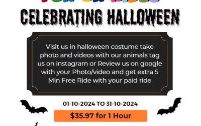 Fun On Rides – Halloween Special