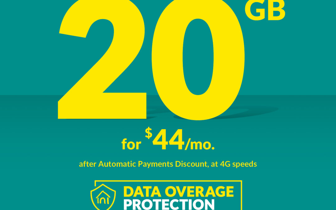 20 GB for $44.00 /Month